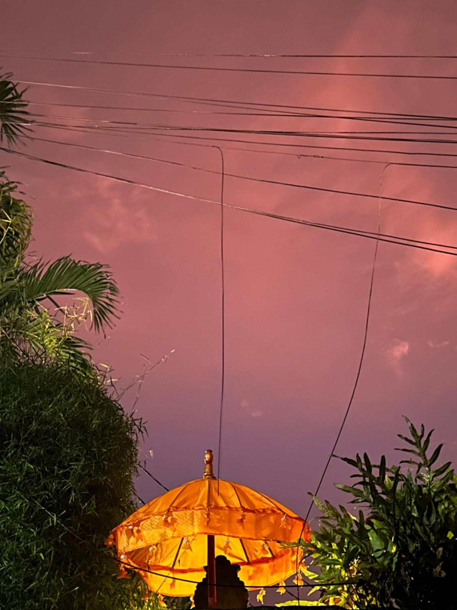 The Nest In Ubud, Bembengan Cottage Exteriör bild